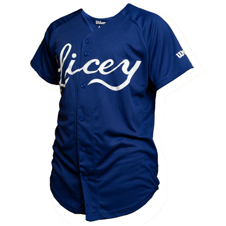 Manny Mota Authentic Tigres del Licey Retro Blue Jersey Autographed ...